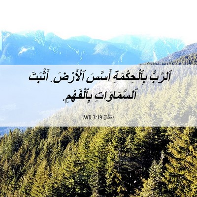 Picture 06 - أَمْثَالٌ 3:19 AVD - ٱلرَّبُّ بِٱلْحِكْمَةِ - Bible Verse Picture
