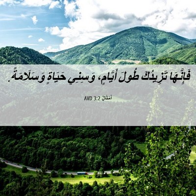 Picture 06 - أَمْثَالٌ 3:2 AVD - فَإِنَّهَا تَزِيدُكَ - Bible Verse Picture