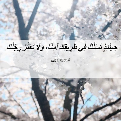 Picture 06 - أَمْثَالٌ 3:23 AVD - حِينَئِذٍ تَسْلُكُ فِي - Bible Verse Picture