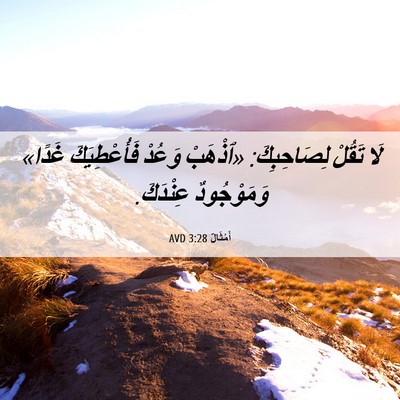 Picture 06 - أَمْثَالٌ 3:28 AVD - لَا تَقُلْ لِصَاحِبِكَ: - Bible Verse Picture