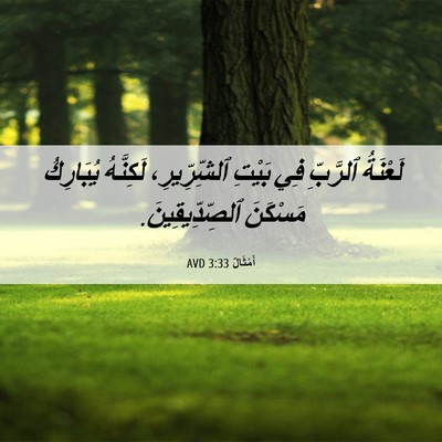Picture 06 - أَمْثَالٌ 3:33 AVD - لَعْنَةُ ٱلرَّبِّ فِي - Bible Verse Picture