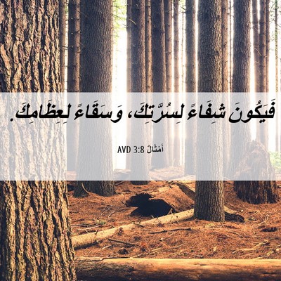 Picture 06 - أَمْثَالٌ 3:8 AVD - فَيَكُونَ شِفَاءً - Bible Verse Picture
