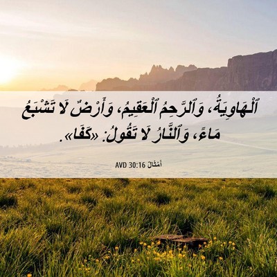 Picture 06 - أَمْثَالٌ 30:16 AVD - ٱلْهَاوِيَةُ، وَٱلرَّحِمُ - Bible Verse Picture