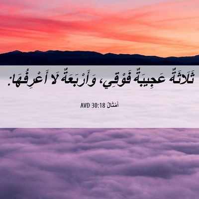 Picture 06 - أَمْثَالٌ 30:18 AVD - ثَلَاثَةٌ عَجِيبَةٌ - Bible Verse Picture