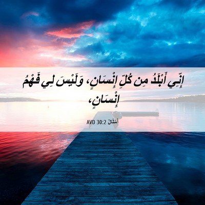 Picture 06 - أَمْثَالٌ 30:2 AVD - إِنِّي أَبْلَدُ مِن كُلِّ - Bible Verse Picture