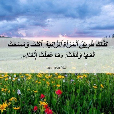Picture 06 - أَمْثَالٌ 30:20 AVD - كَذَلِكَ طَرِيقُ - Bible Verse Picture