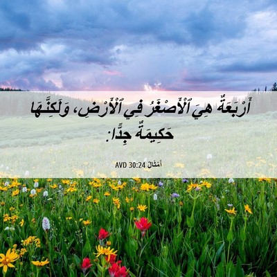 Picture 06 - أَمْثَالٌ 30:24 AVD - أَرْبَعَةٌ هِيَ - Bible Verse Picture