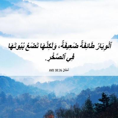 Picture 06 - أَمْثَالٌ 30:26 AVD - ٱلْوِبَارُ طَائِفَةٌ - Bible Verse Picture