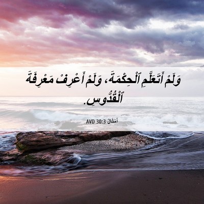 Picture 06 - أَمْثَالٌ 30:3 AVD - وَلَمْ أَتَعَلَّمِ - Bible Verse Picture