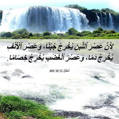 Picture 06 - أَمْثَالٌ 30:33 AVD - لِأَنَّ عَصْرَ ٱللَّبَنِ - Bible Verse Picture