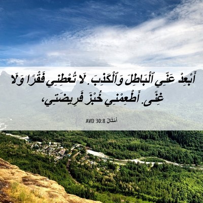 Picture 06 - أَمْثَالٌ 30:8 AVD - أَبْعِدْ عَنِّي - Bible Verse Picture