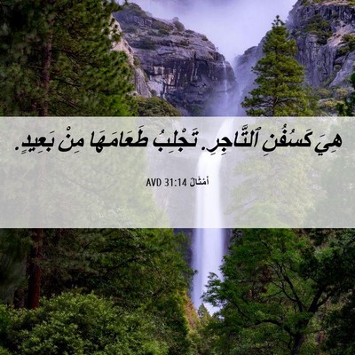 Picture 06 - أَمْثَالٌ 31:14 AVD - هِيَ كَسُفُنِ ٱلتَّاجِرِ. - Bible Verse Picture