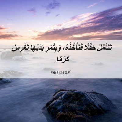 Picture 06 - أَمْثَالٌ 31:16 AVD - تَتَأَمَّلُ حَقْلًا - Bible Verse Picture