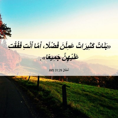Picture 06 - أَمْثَالٌ 31:29 AVD - «بَنَاتٌ كَثِيرَاتٌ - Bible Verse Picture