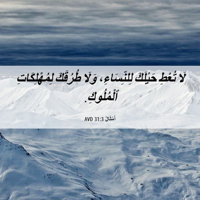 Picture 06 - أَمْثَالٌ 31:3 AVD - لَا تُعْطِ حَيْلَكَ - Bible Verse Picture
