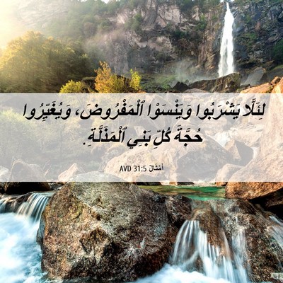 Picture 06 - أَمْثَالٌ 31:5 AVD - لِئَلَّا يَشْرَبُوا - Bible Verse Picture