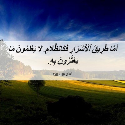 Picture 06 - أَمْثَالٌ 4:19 AVD - أَمَّا طَرِيقُ - Bible Verse Picture
