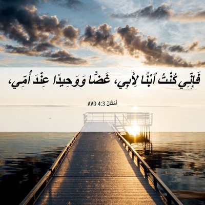 Picture 06 - أَمْثَالٌ 4:3 AVD - فَإِنِّي كُنْتُ ٱبْنًا - Bible Verse Picture