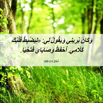 Picture 06 - أَمْثَالٌ 4:4 AVD - وَكَانَ يُرِينِي - Bible Verse Picture