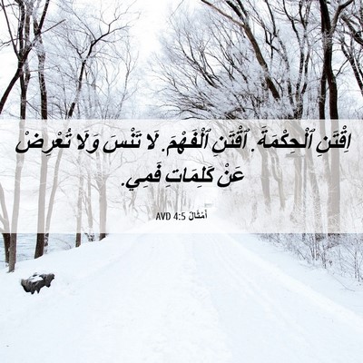 Picture 06 - أَمْثَالٌ 4:5 AVD - اِقْتَنِ ٱلْحِكْمَةَ. - Bible Verse Picture