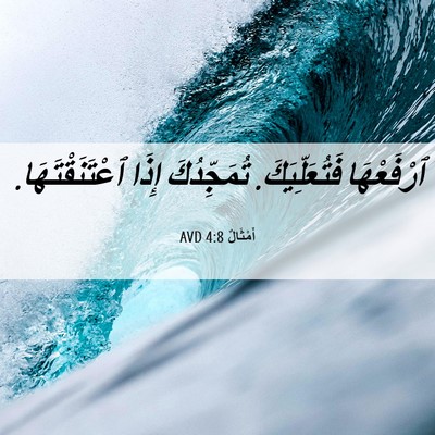 Picture 06 - أَمْثَالٌ 4:8 AVD - ٱرْفَعْهَا فَتُعَلِّيَكَ. - Bible Verse Picture
