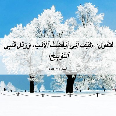 Picture 06 - أَمْثَالٌ 5:12 AVD - فَتَقُولَ: «كَيْفَ أَنِّي - Bible Verse Picture
