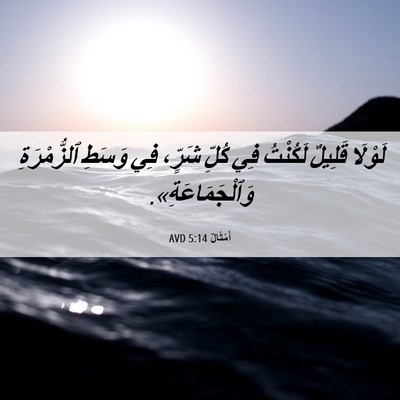 Picture 06 - أَمْثَالٌ 5:14 AVD - لَوْلَا قَلِيلٌ لَكُنْتُ - Bible Verse Picture