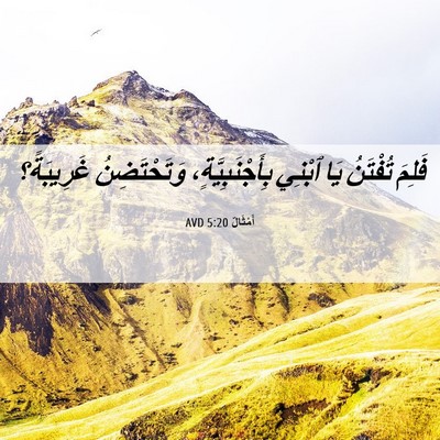 Picture 06 - أَمْثَالٌ 5:20 AVD - فَلِمَ تُفْتَنُ يَا ٱبْنِي - Bible Verse Picture