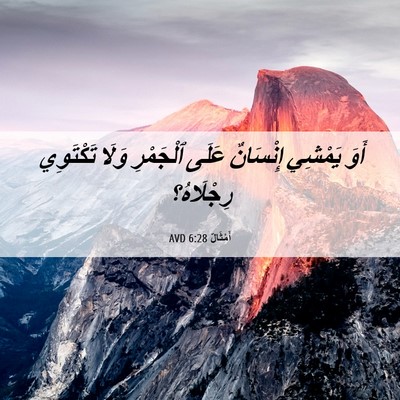 Picture 06 - أَمْثَالٌ 6:28 AVD - أَوَ يَمْشِي إِنْسَانٌ - Bible Verse Picture