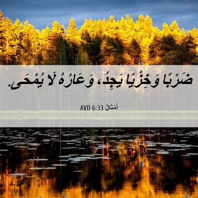 Picture 06 - أَمْثَالٌ 6:33 AVD - ضَرْبًا وَخِزْيًا يَجِدُ، - Bible Verse Picture