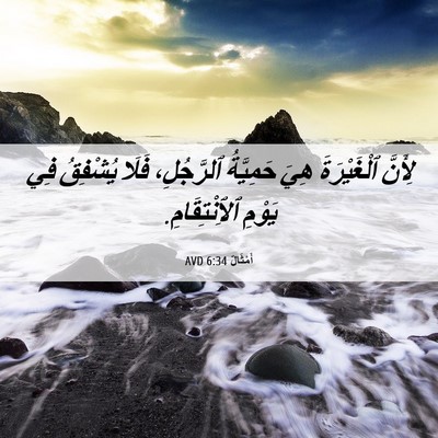 Picture 06 - أَمْثَالٌ 6:34 AVD - لِأَنَّ ٱلْغَيْرَةَ هِيَ - Bible Verse Picture