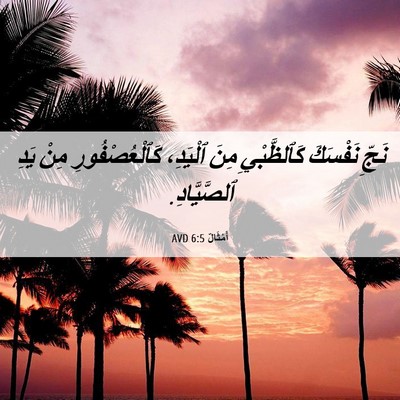 Picture 06 - أَمْثَالٌ 6:5 AVD - نَجِّ نَفْسَكَ - Bible Verse Picture