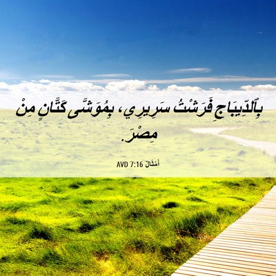 Picture 06 - أَمْثَالٌ 7:16 AVD - بِٱلدِّيبَاجِ فَرَشْتُ - Bible Verse Picture