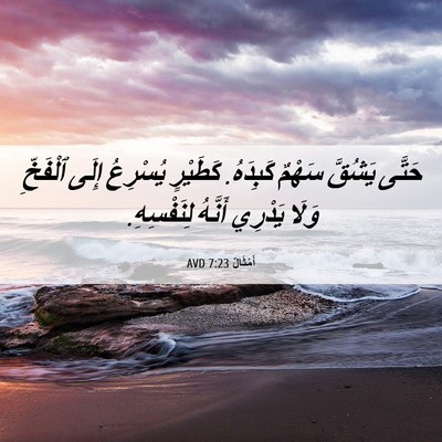 Picture 06 - أَمْثَالٌ 7:23 AVD - حَتَّى يَشُقَّ سَهْمٌ - Bible Verse Picture
