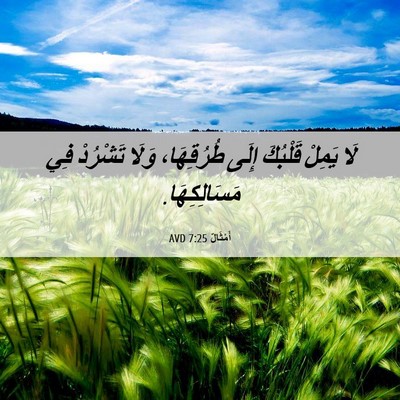 Picture 06 - أَمْثَالٌ 7:25 AVD - لَا يَمِلْ قَلْبُكَ إِلَى - Bible Verse Picture
