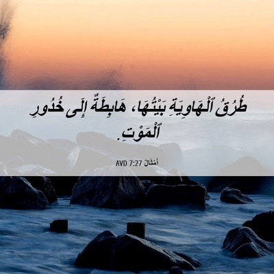 Picture 06 - أَمْثَالٌ 7:27 AVD - طُرُقُ ٱلْهَاوِيَةِ - Bible Verse Picture