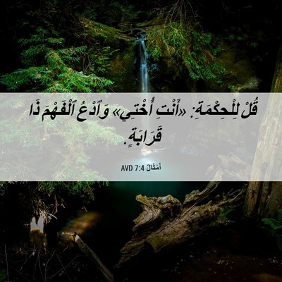 Picture 06 - أَمْثَالٌ 7:4 AVD - قُلْ لِلْحِكْمَةِ: «أَنْتِ - Bible Verse Picture