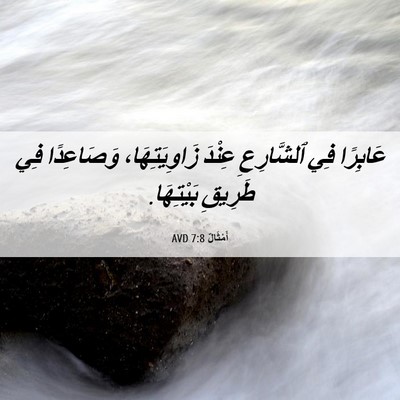 Picture 06 - أَمْثَالٌ 7:8 AVD - عَابِرًا فِي ٱلشَّارِعِ - Bible Verse Picture