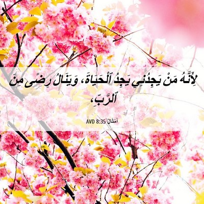 Picture 06 - أَمْثَالٌ 8:35 AVD - لِأَنَّهُ مَنْ يَجِدُنِي - Bible Verse Picture