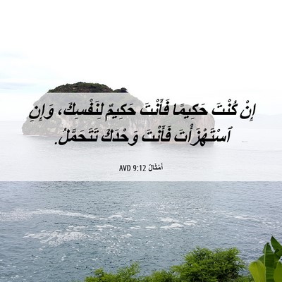 Picture 06 - أَمْثَالٌ 9:12 AVD - إِنْ كُنْتَ حَكِيمًا - Bible Verse Picture