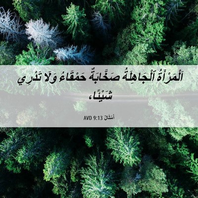Picture 06 - أَمْثَالٌ 9:13 AVD - اَلْمَرْأَةُ ٱلْجَاهِلَةُ - Bible Verse Picture