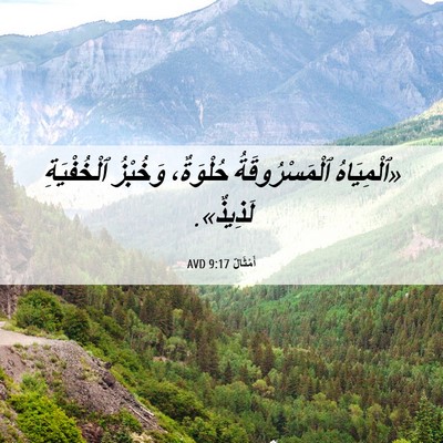 Picture 06 - أَمْثَالٌ 9:17 AVD - «ٱلْمِيَاهُ - Bible Verse Picture