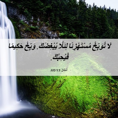 Picture 06 - أَمْثَالٌ 9:8 AVD - لَا تُوَبِّخْ - Bible Verse Picture