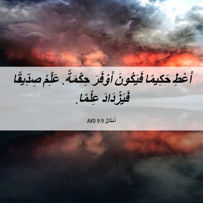 Picture 06 - أَمْثَالٌ 9:9 AVD - أَعْطِ حَكِيمًا فَيَكُونَ - Bible Verse Picture