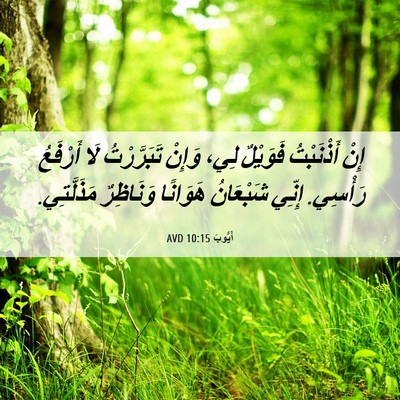 Picture 06 - أَيُّوبَ 10:15 AVD - إِنْ أَذْنَبْتُ فَوَيْلٌ - Bible Verse Picture