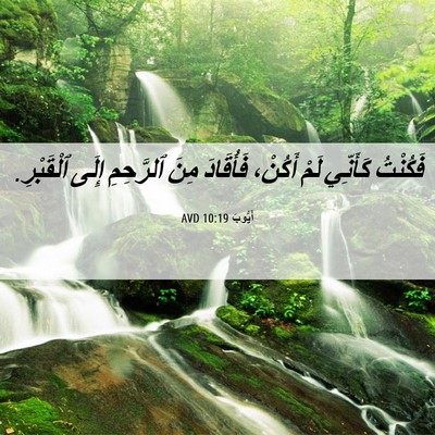 Picture 06 - أَيُّوبَ 10:19 AVD - فَكُنْتُ كَأَنِّي لَمْ - Bible Verse Picture