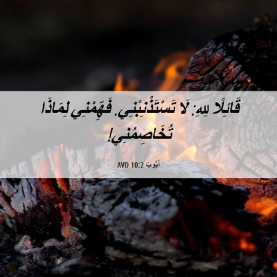 Picture 06 - أَيُّوبَ 10:2 AVD - قَائِلًا لِلهِ: لَا - Bible Verse Picture