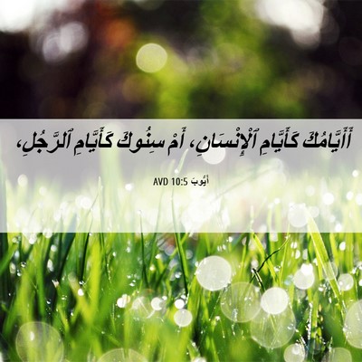 Picture 06 - أَيُّوبَ 10:5 AVD - أَأَيَّامُكَ كَأَيَّامِ - Bible Verse Picture