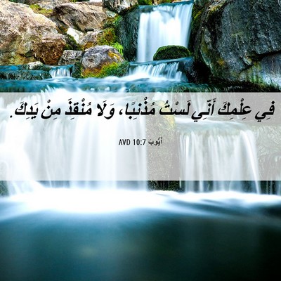 Picture 06 - أَيُّوبَ 10:7 AVD - فِي عِلْمِكَ أَنِّي لَسْتُ - Bible Verse Picture