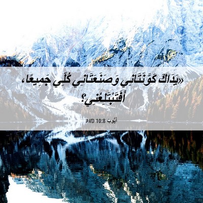 Picture 06 - أَيُّوبَ 10:8 AVD - «يَدَاكَ كَوَّنَتَانِي - Bible Verse Picture